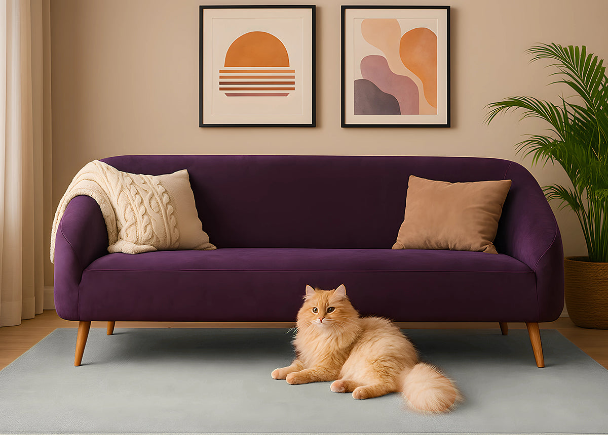 What Makes a Sofa ‘Pet-Friendly’? Here’s What to Look For