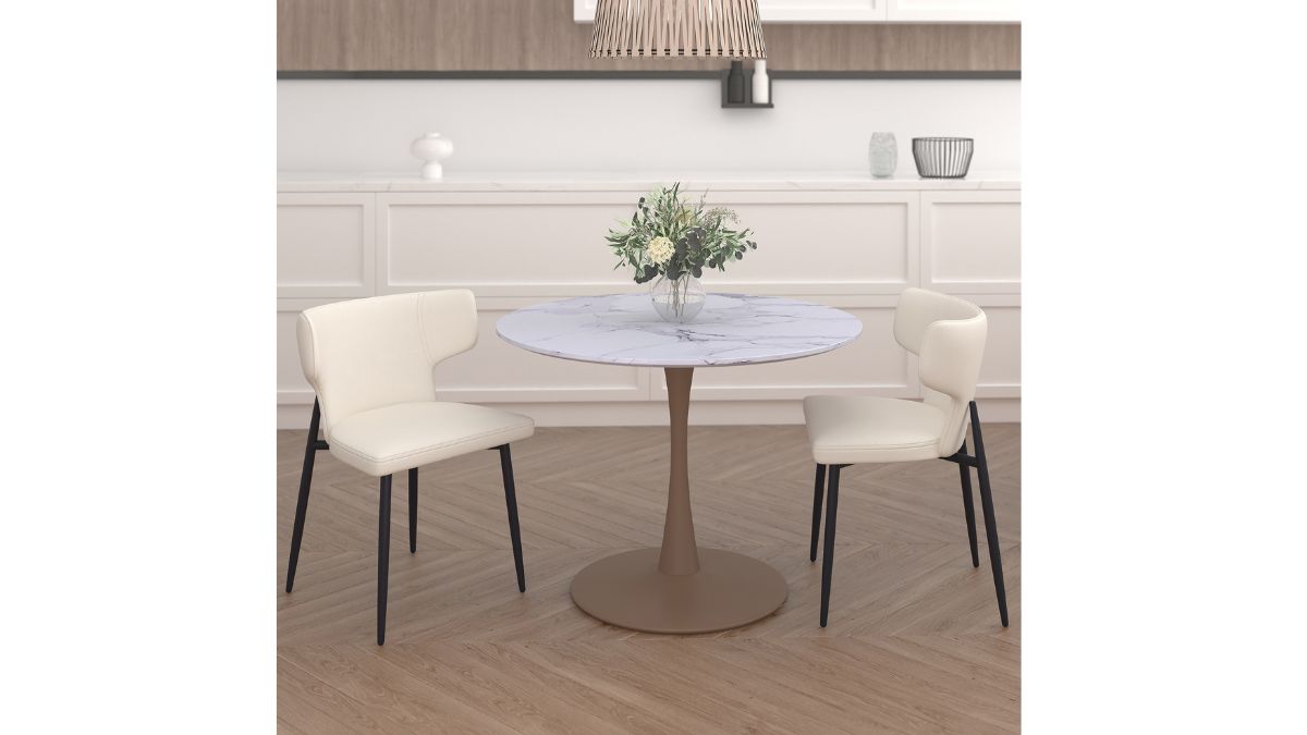 OLIS DINING CHAIR (SET OF 2)