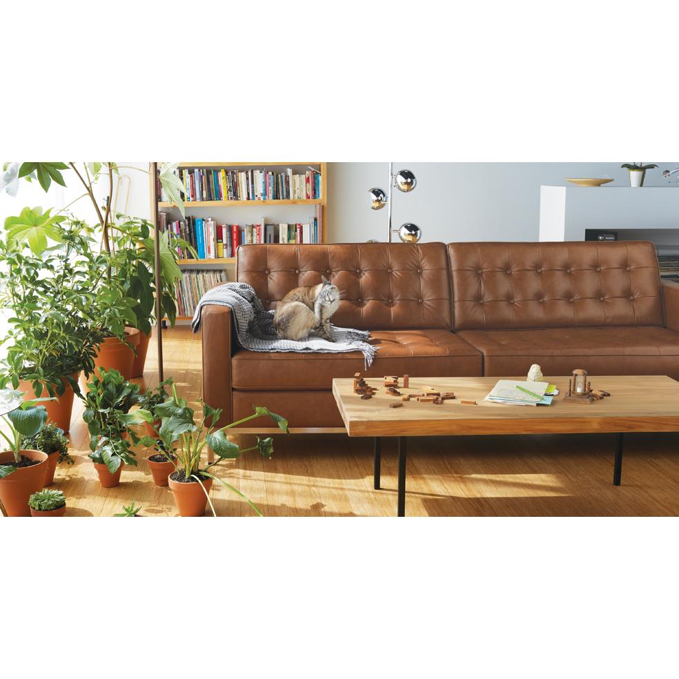 EQ3 Reverie Stationary Leather Sofa 37095-01-GR100 IMAGE 3