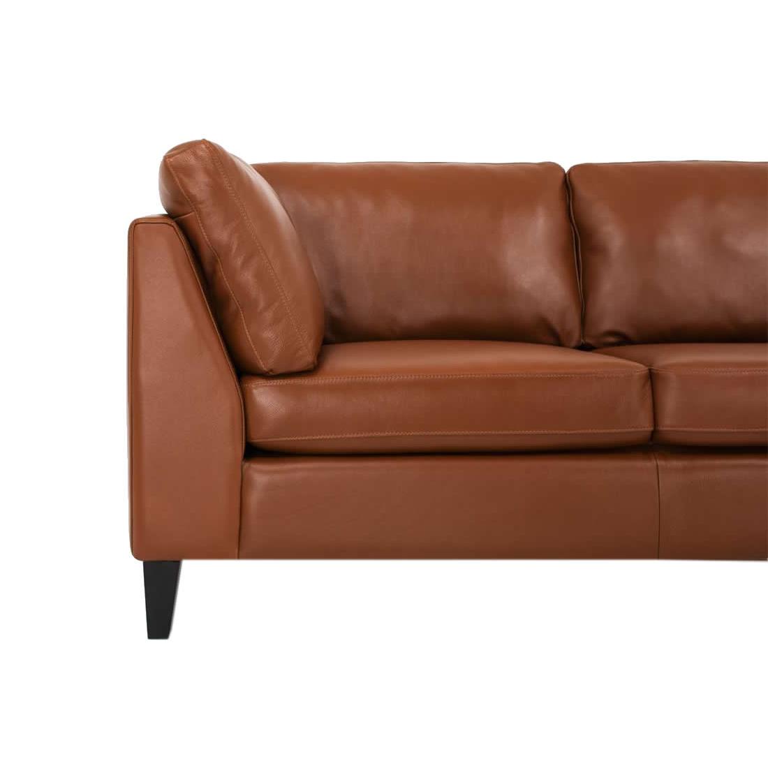 EQ3 Salema Stationary Leather Sofa 37024-01-GR100 IMAGE 3