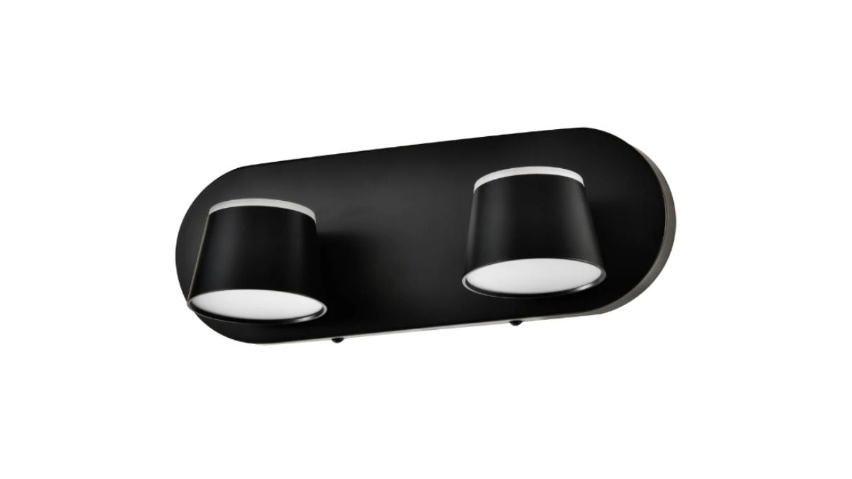 Dual Charcoal Wall Light