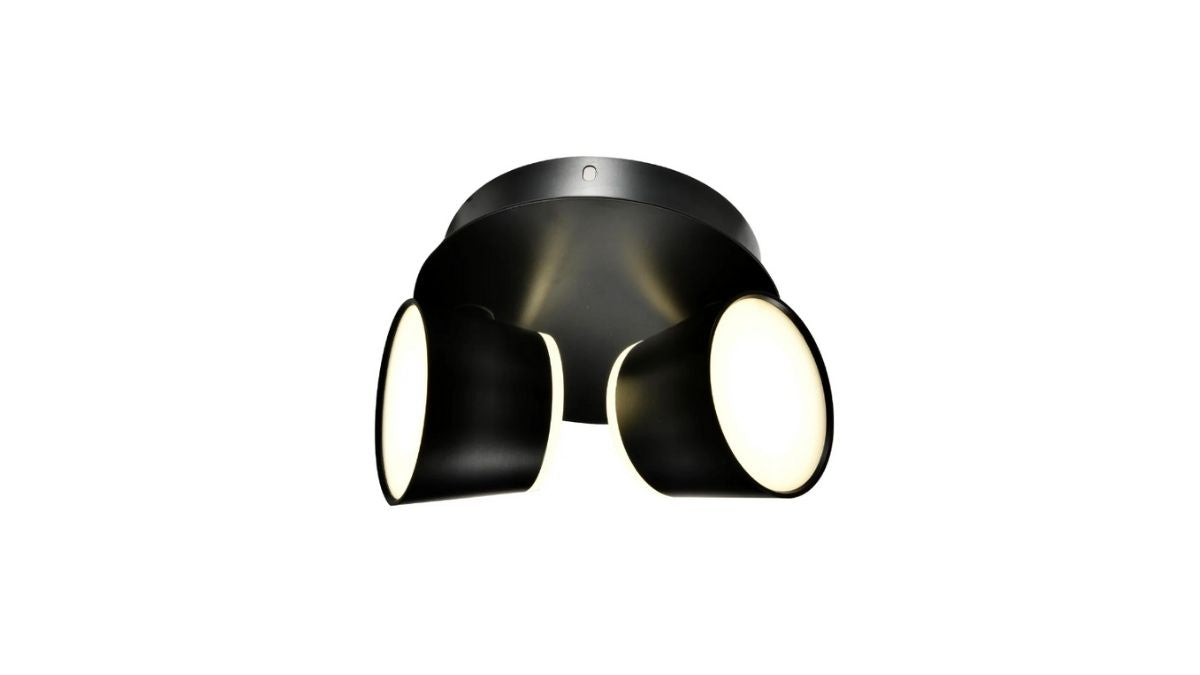 Dual Lume Flush Mount
