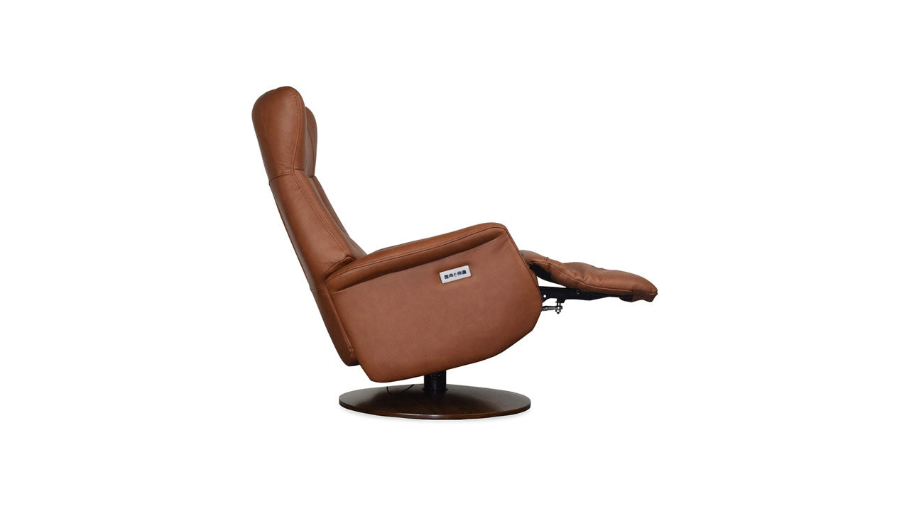 Q31 Recliner