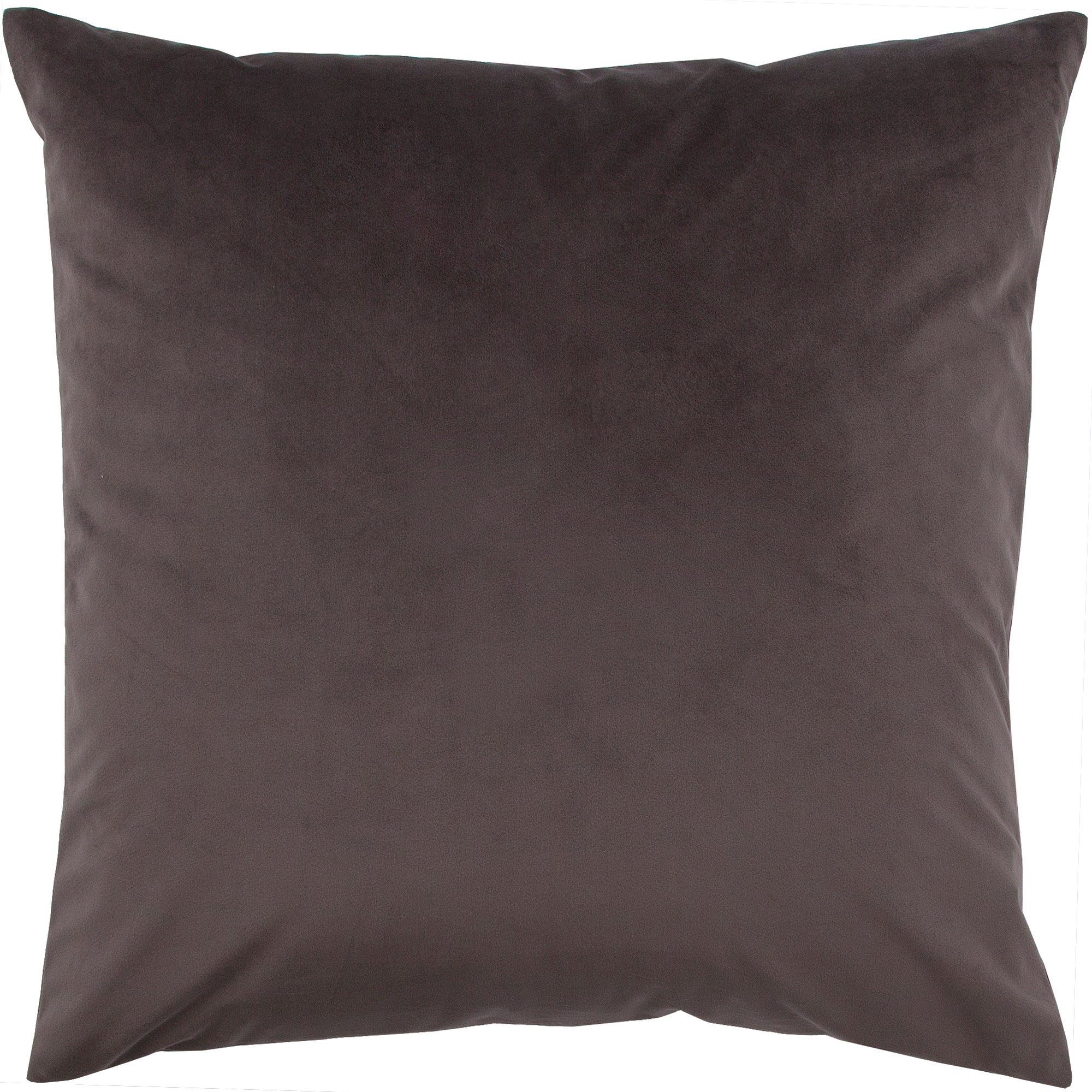 Chestnut 20 X 20 Indoor Pillow, Dark Gray - Main Image - PWFL1091