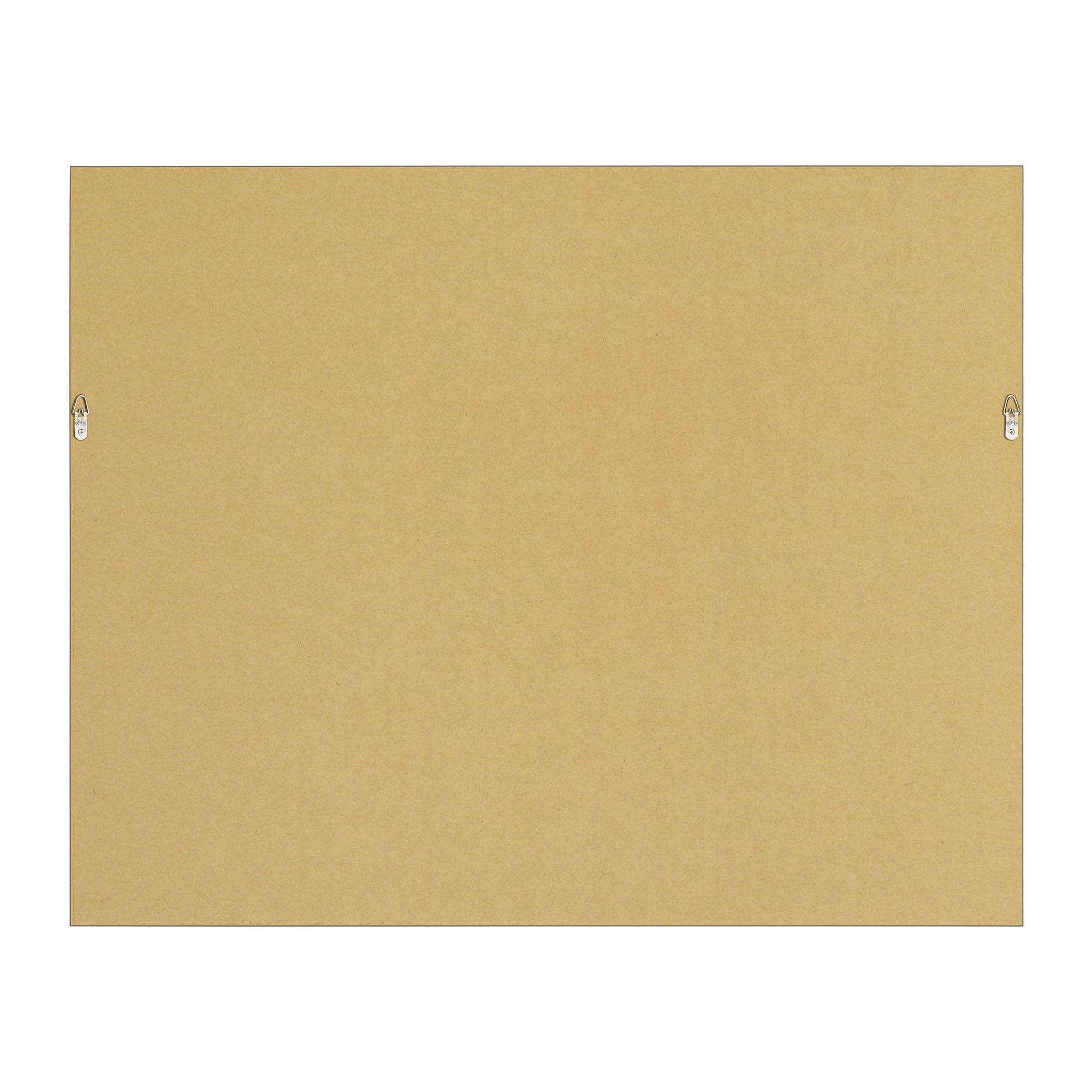 Lynx 50" Wide Canvas Art, Grey - Backing Image - OL2106