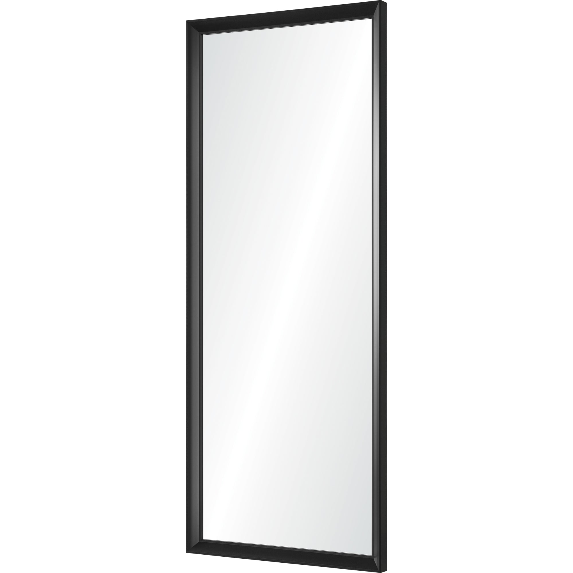 Delacorte 80" Tall Rectangle Wall Mirror, Black - Angle Image - MT2403