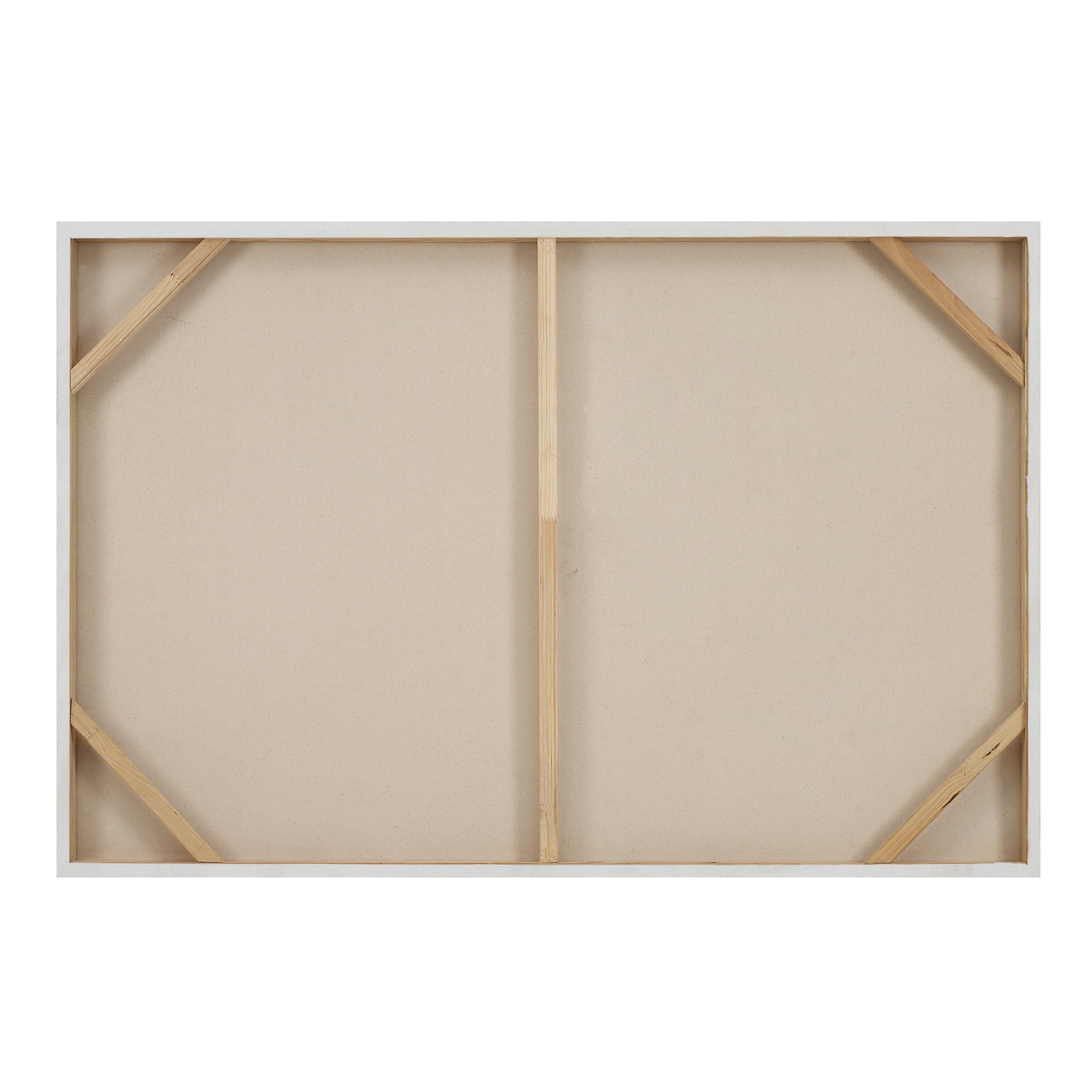 Mann 60" Wide Canvas Art, Beige - Backing Image - OL2158