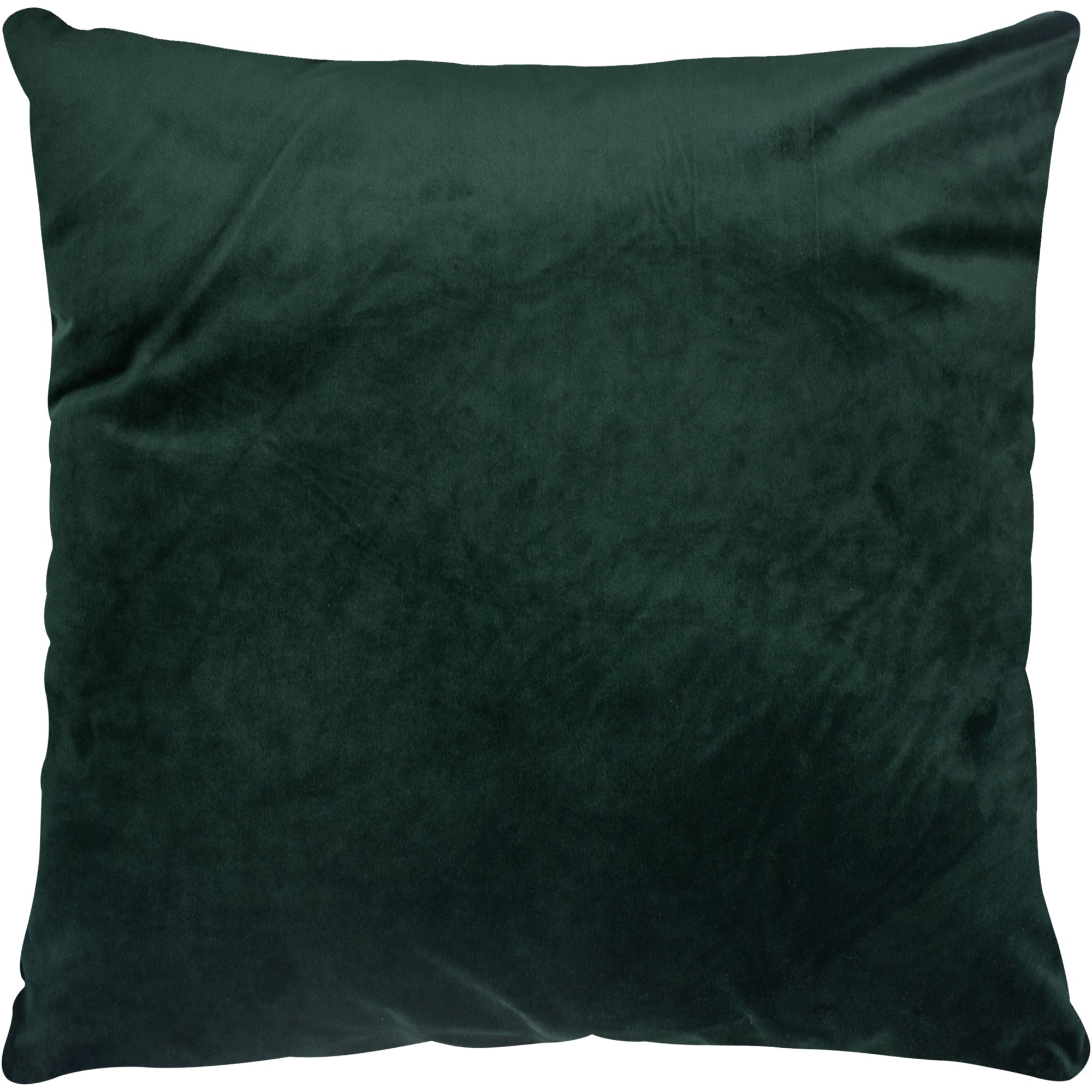 Olive 20 X 20 Indoor Pillow, Hunter Green - Main Image - PWFL1022