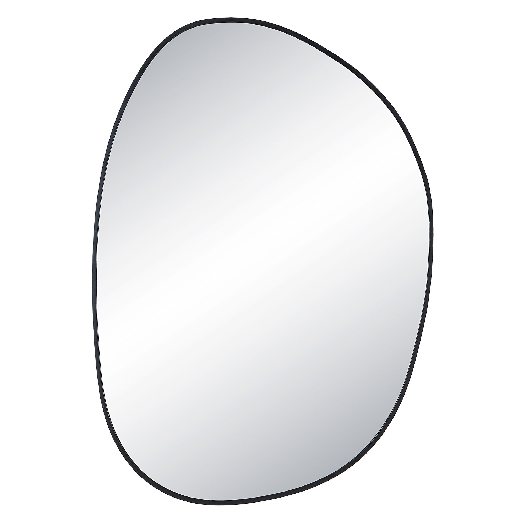 Bozeman 42" Tall Oval Wall Mirror, Black - Main Image - MT2564