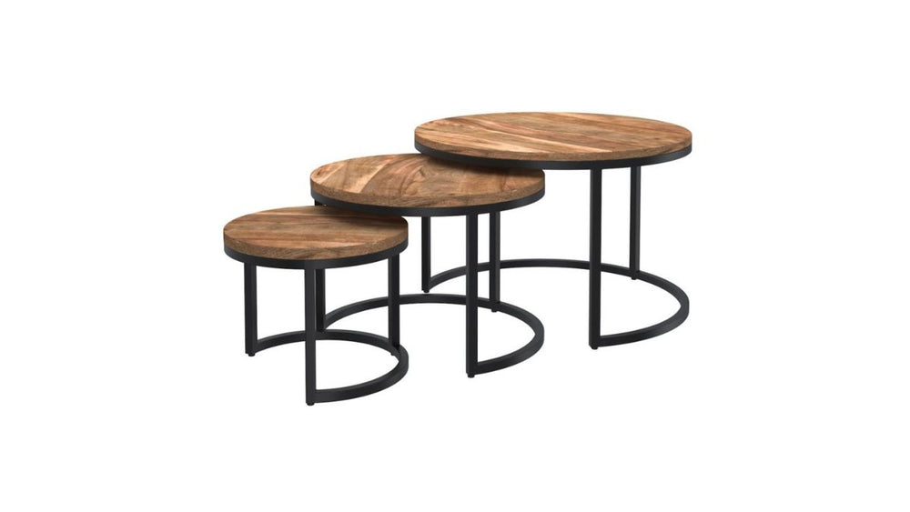 WORLDWIDE HOME FURNISHINGS DARSH COFFEE TABLE (SET OF 3)