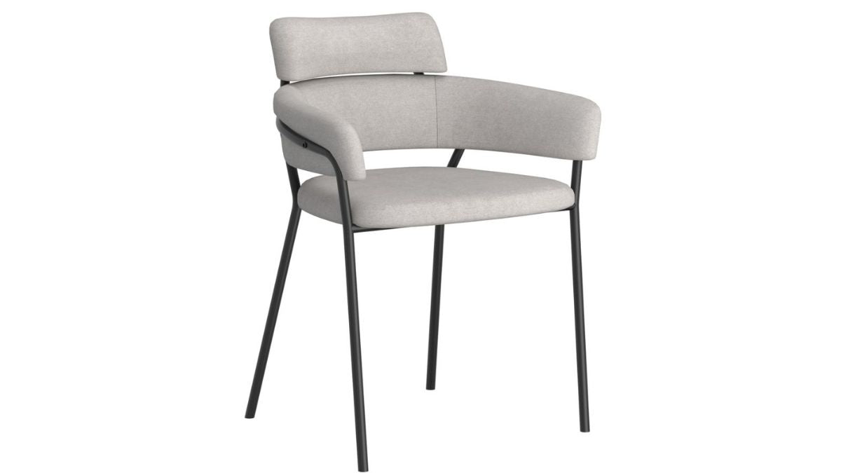 AXEL DINING CHAIR (SET OF 2)