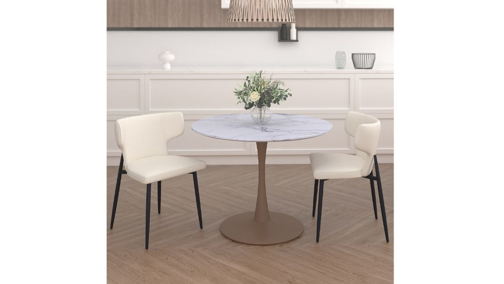 WORLDWIDE HOME FURNISHINGS OLIS DINING CHAIR (SET OF 2)
