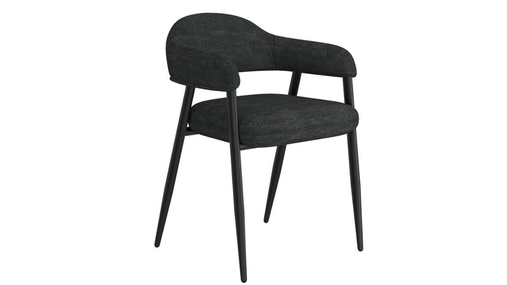 ARCHER DINING CHAIR (SET OF 2)