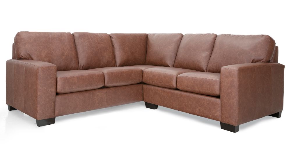 3A3 Alessandra Connections