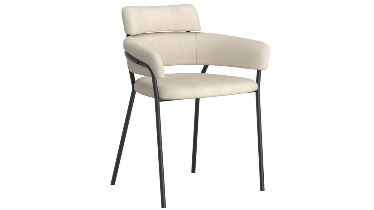 AXEL DINING CHAIR (SET OF 2)