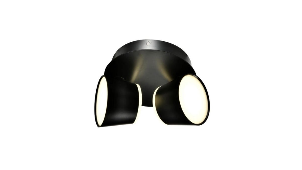 Dual Lume Flush Mount