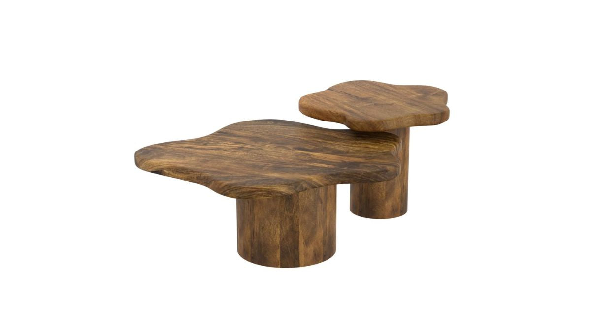 MAYAL COFFEE TABLE (SET OF 2)