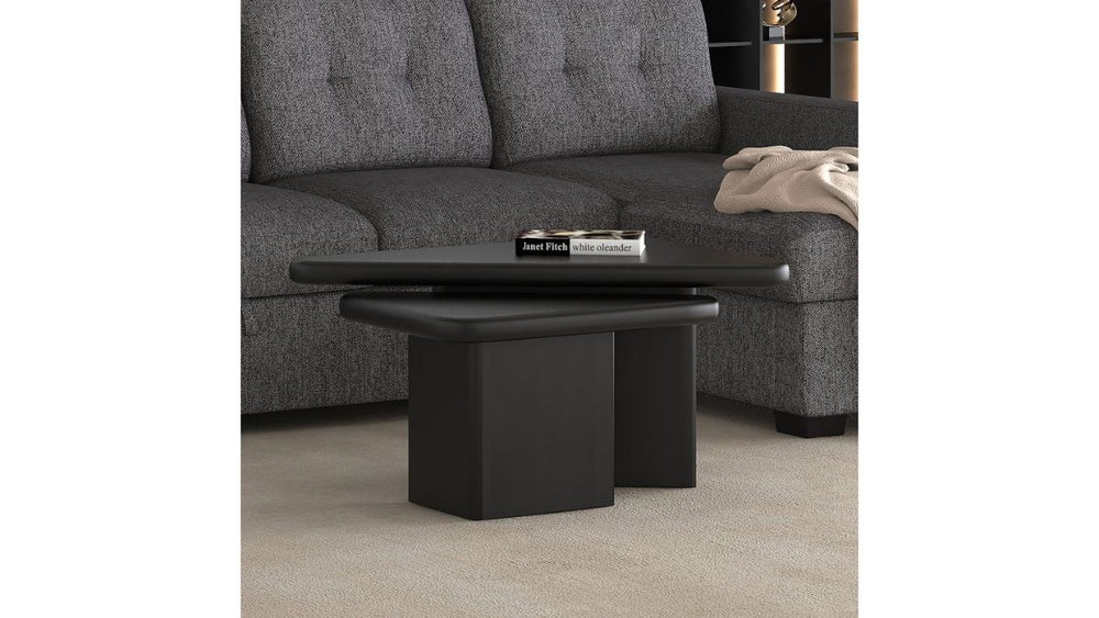WORLDWIDE HOME FURNISHINGS DRACO COFFEE TABLE (SET OF 2)