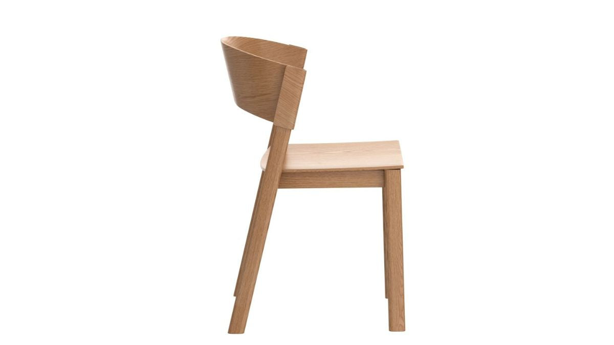 ELIAS DINING CHAIR (SET OF 2)