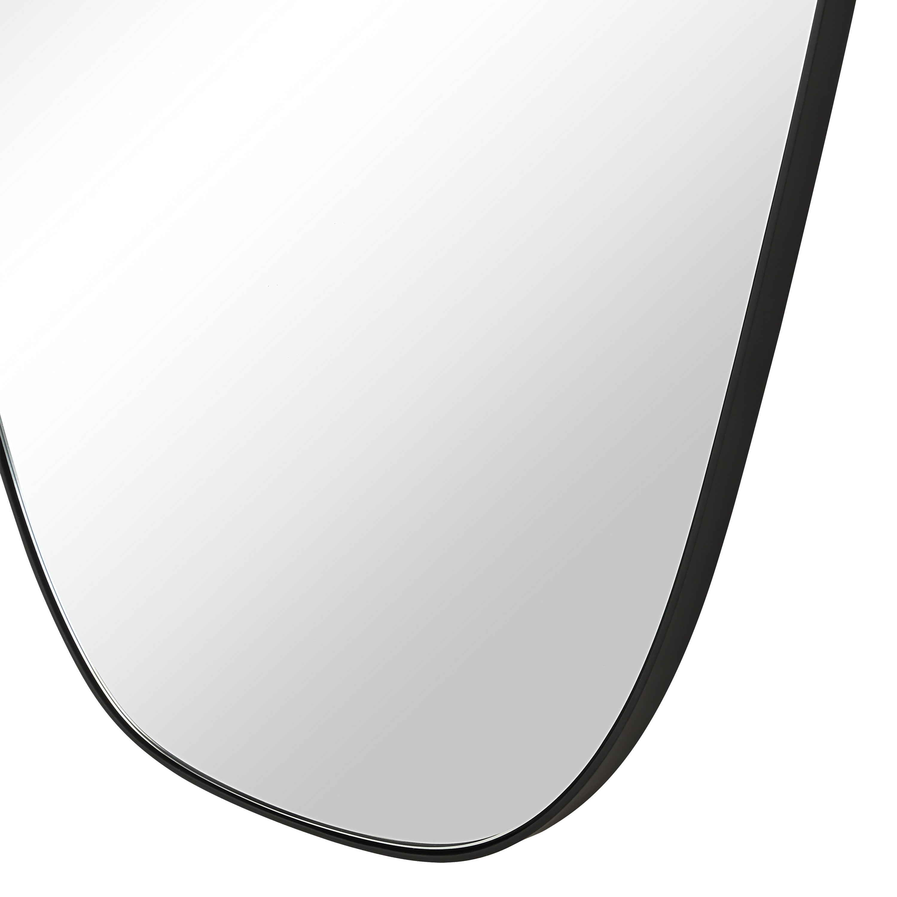 Enina 65" H x 25.5" W Wall Mirror, Black - Detail Image - MT2704