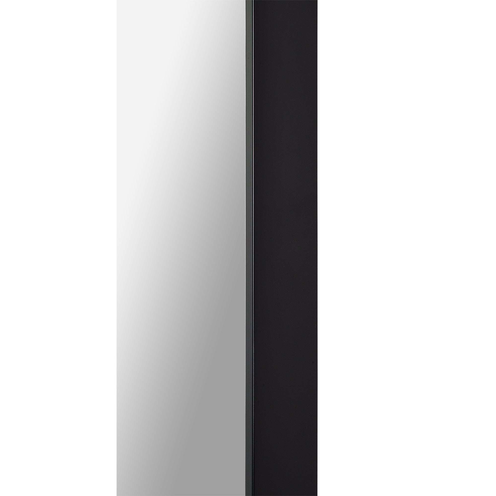 Delacorte 80" Tall Rectangle Wall Mirror, Black - Additional Image 2 - MT2403