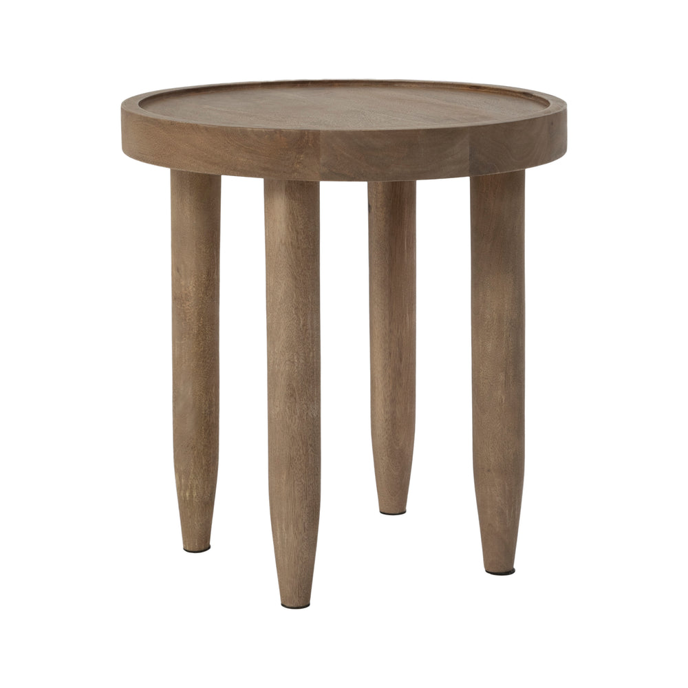 Cicoria 19.0" Height Side Table - Main Image - TA537