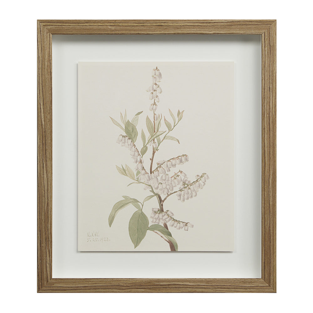 Crema 13.25" Wide Wall Decor, Printed Artwork - Additional Image 2 - PA0043
