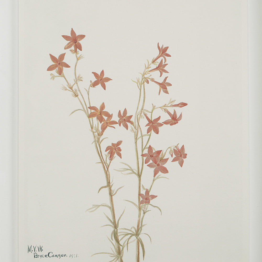 Crema 13.25" Wide Wall Decor, Printed Artwork - Additional Image 7 - PA0043