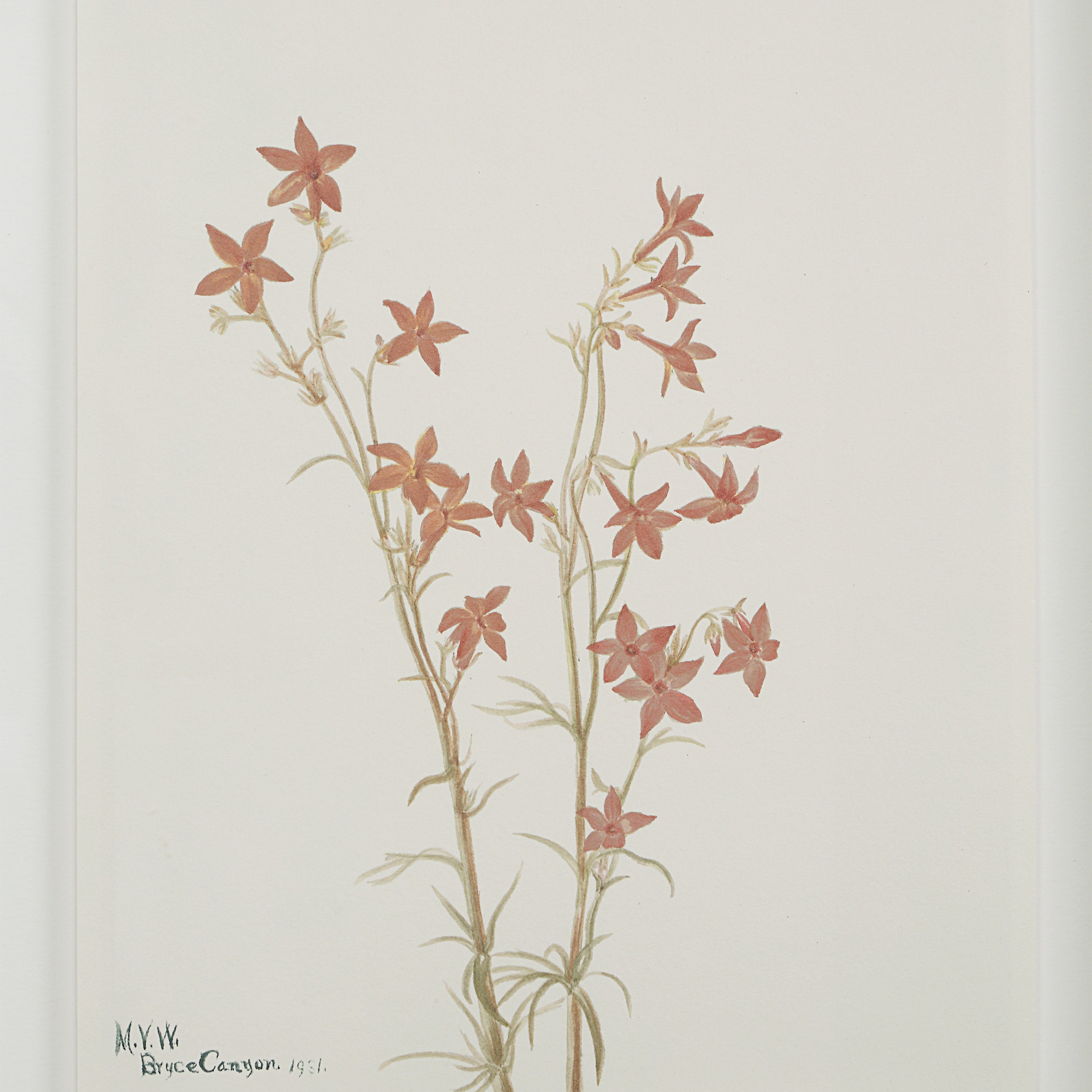 Crema 13.25" Wide Wall Decor, Printed Artwork - Additional Image 7 - PA0043
