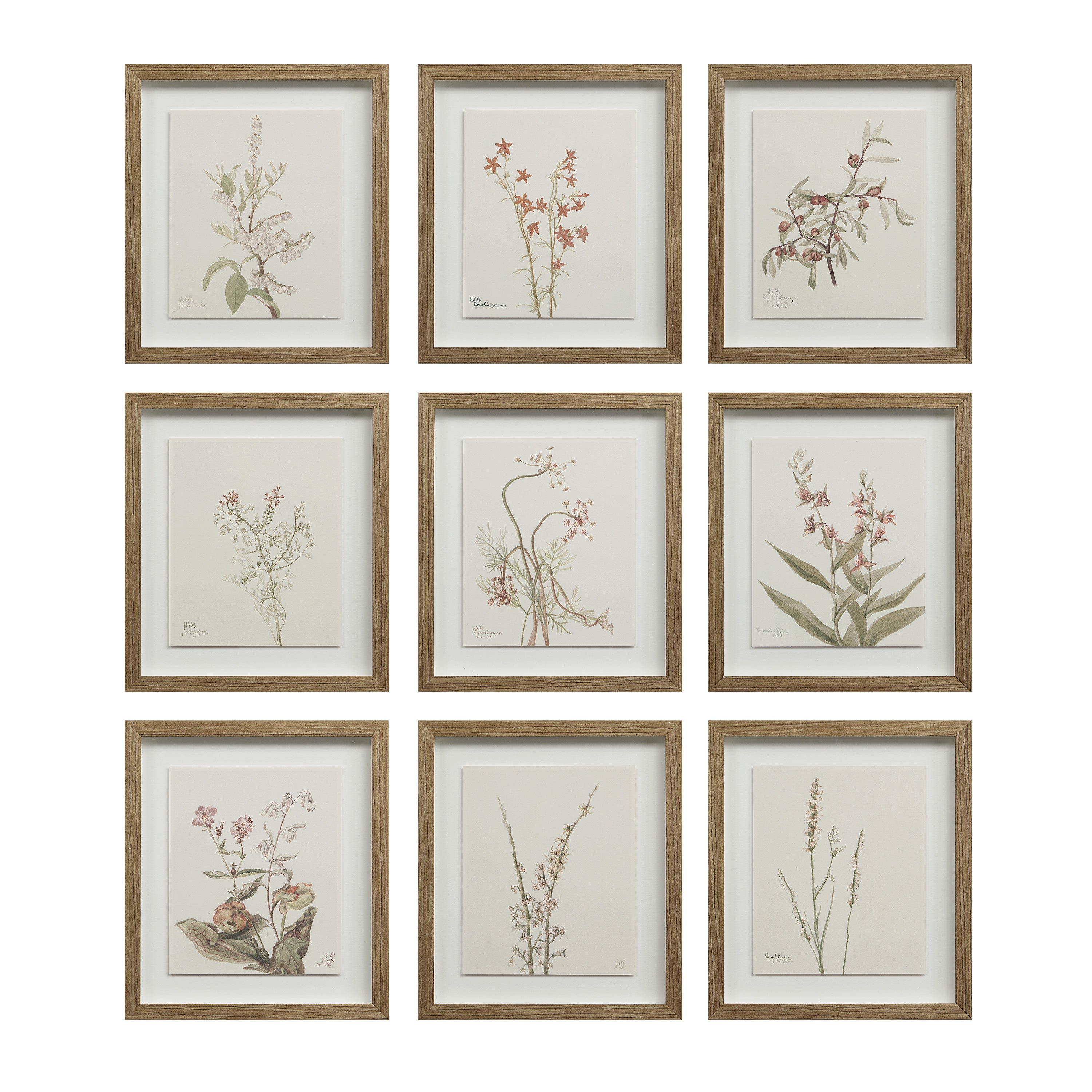 Crema 13.25" Wide Wall Decor, Printed Artwork - Main Image - PA0043