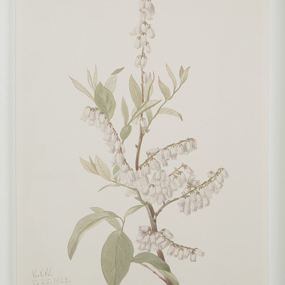Crema 13.25" Wide Wall Decor, Printed Artwork - Detail Image - PA0043
