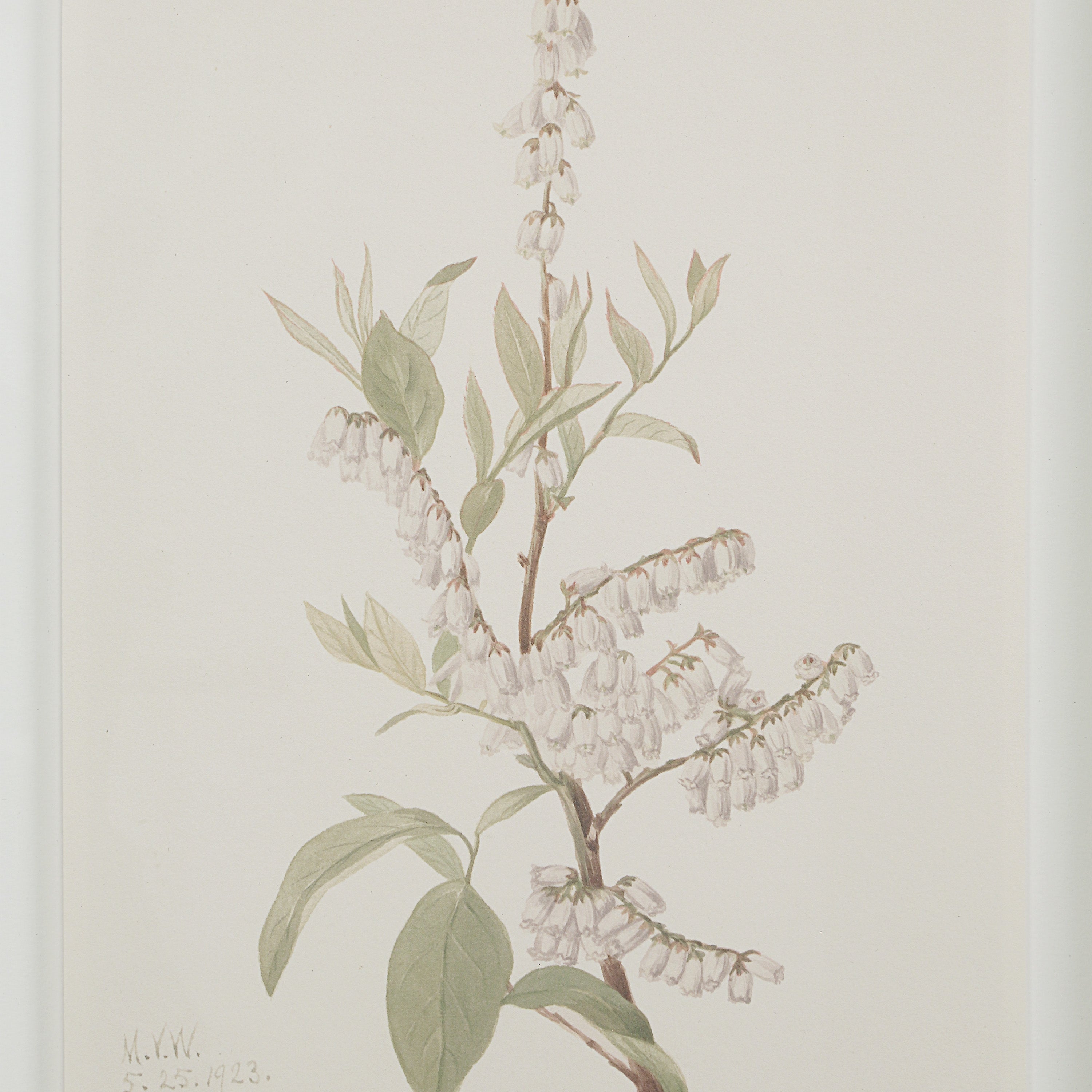Crema 13.25" Wide Wall Decor, Printed Artwork - Detail Image - PA0043