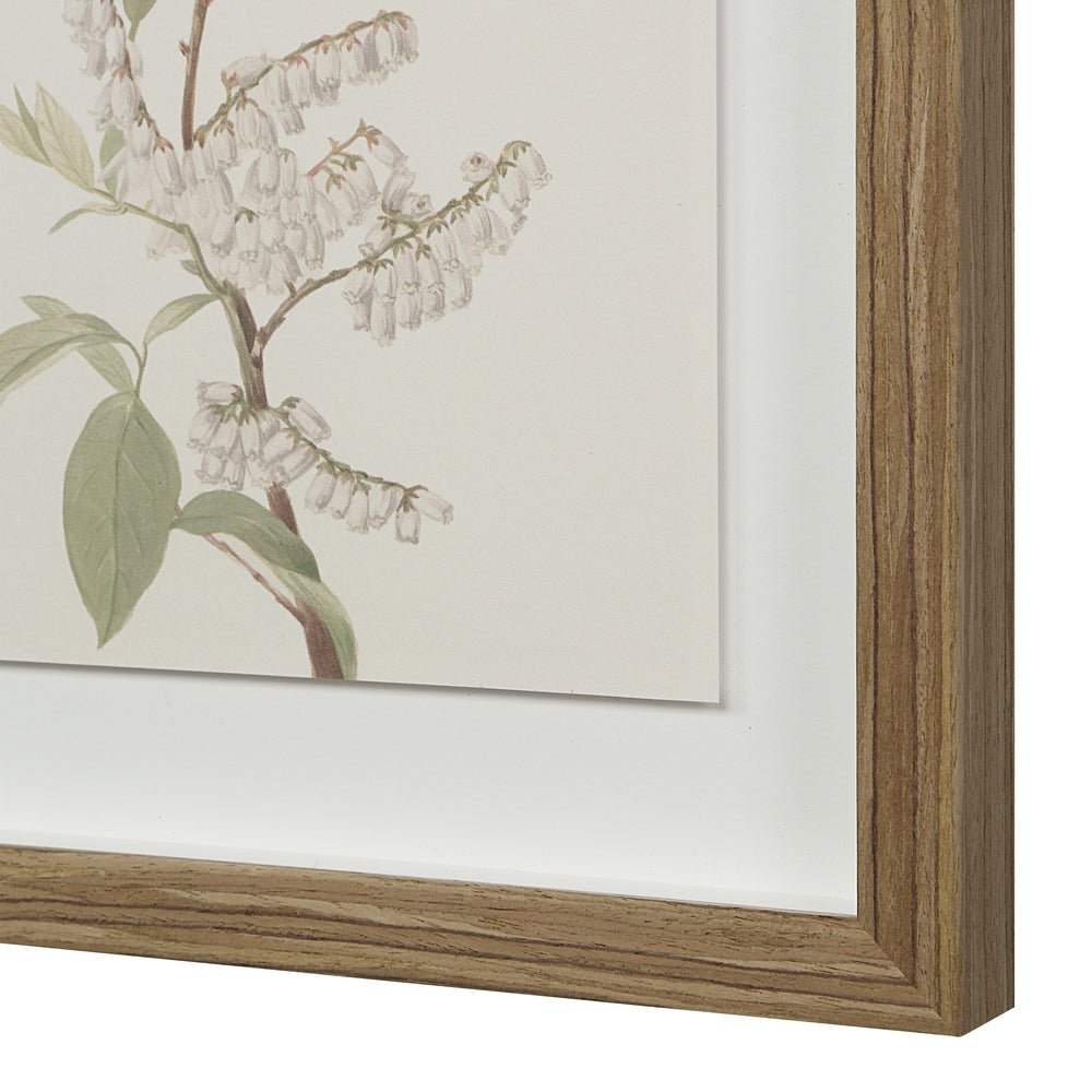 Crema 13.25" Wide Wall Decor, Printed Artwork - Additional Images - PA0043
