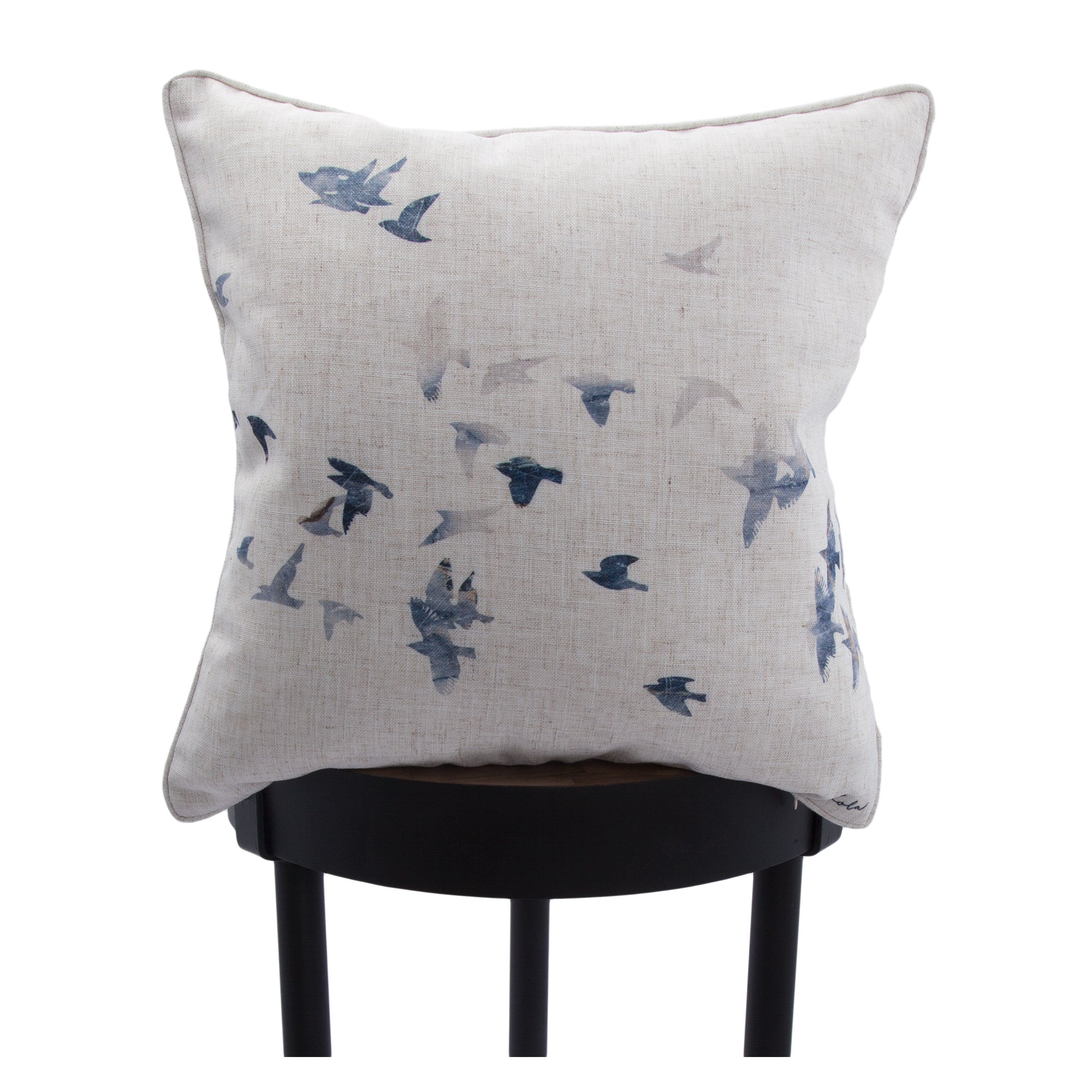Flight 20 X 20 Indoor Pillow, Multi - Lifestyle Image - PWFL1111