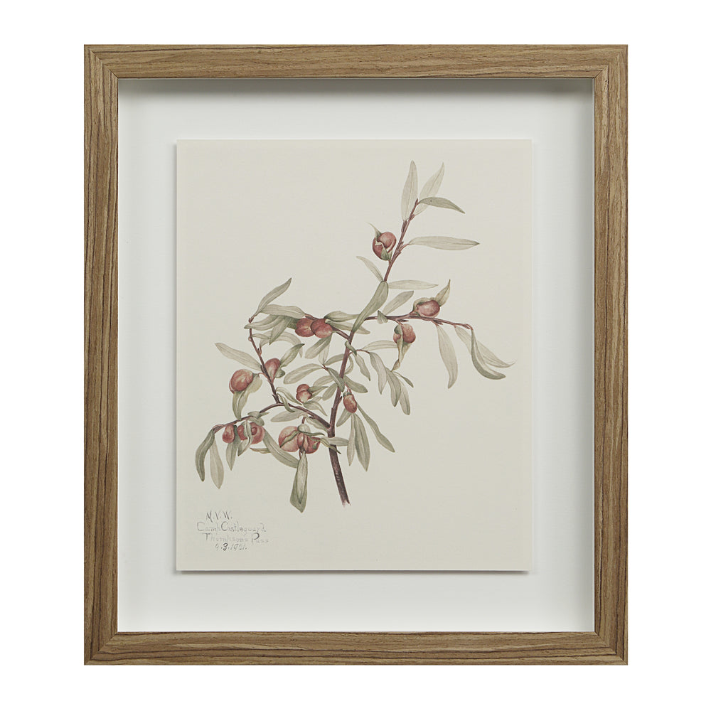 Crema 13.25" Wide Wall Decor, Printed Artwork - Additional Image 8 - PA0043