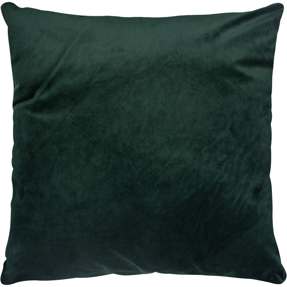 Olive 20 X 20 Indoor Pillow, Hunter Green - Main Image - PWFL1022