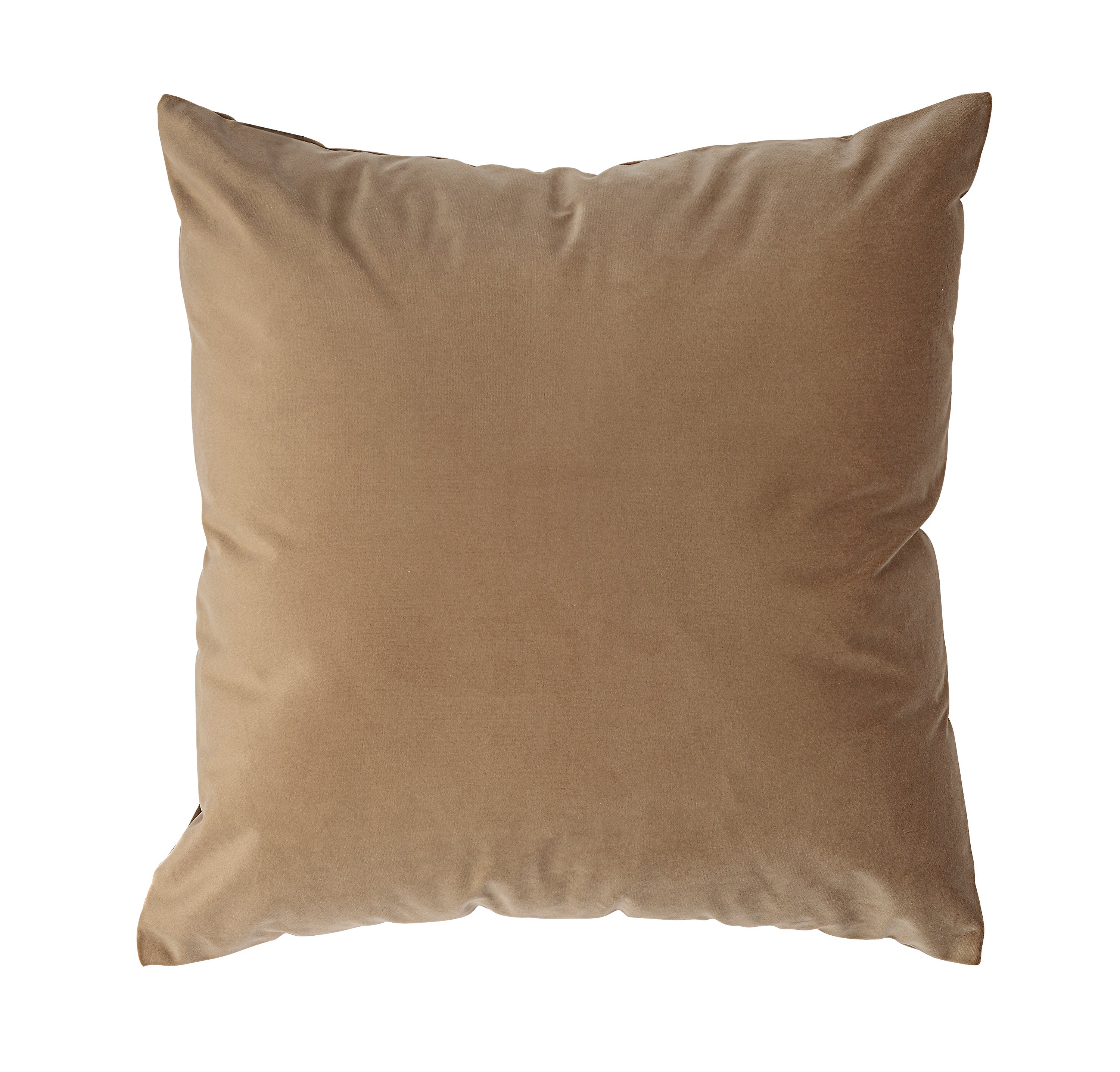 Alchemilla 20X20 Indoor Pillow, Camel - Main Image - PWFL1458