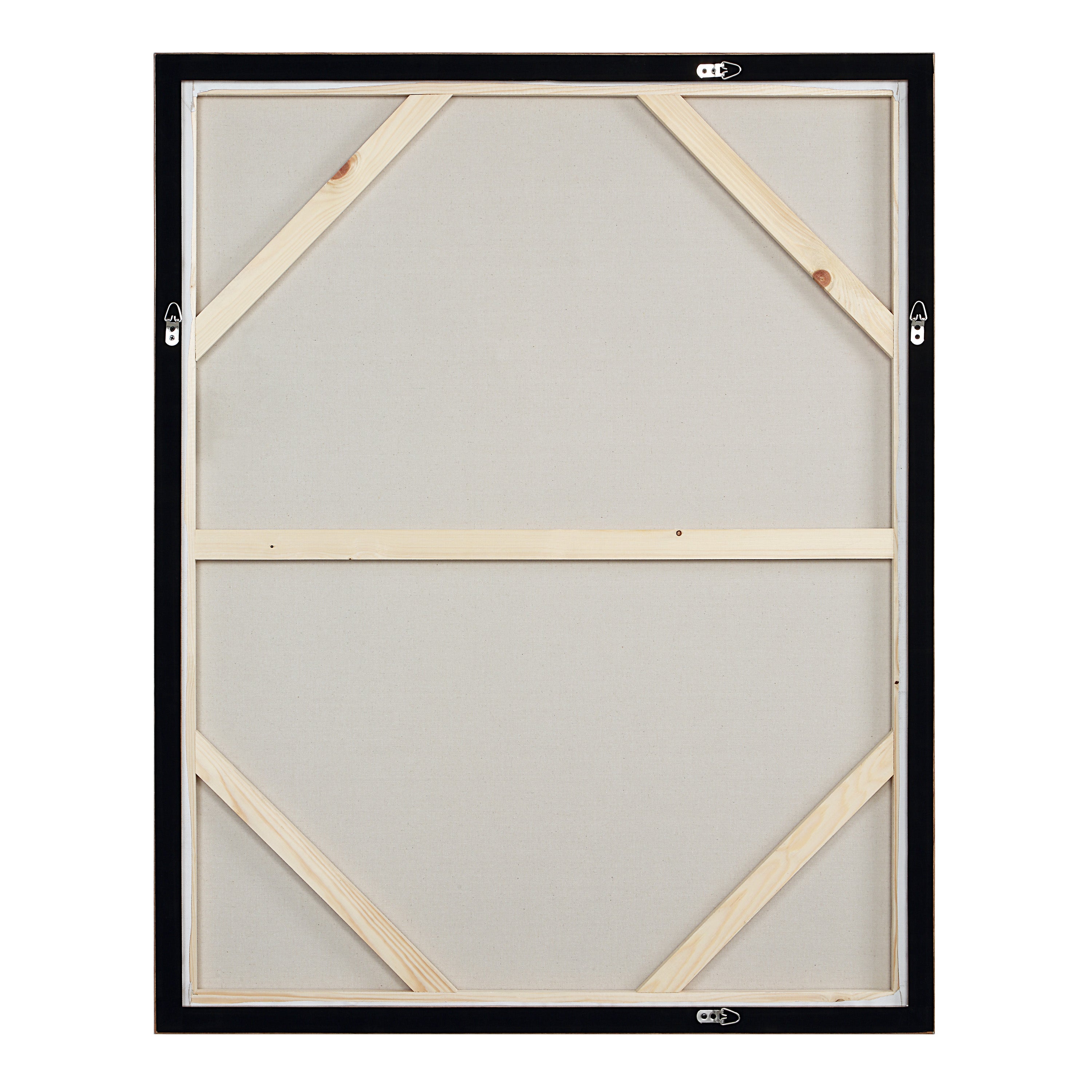 Kona 50" H x 40" W Canvas Art, Beige - Backing Image - OL2213