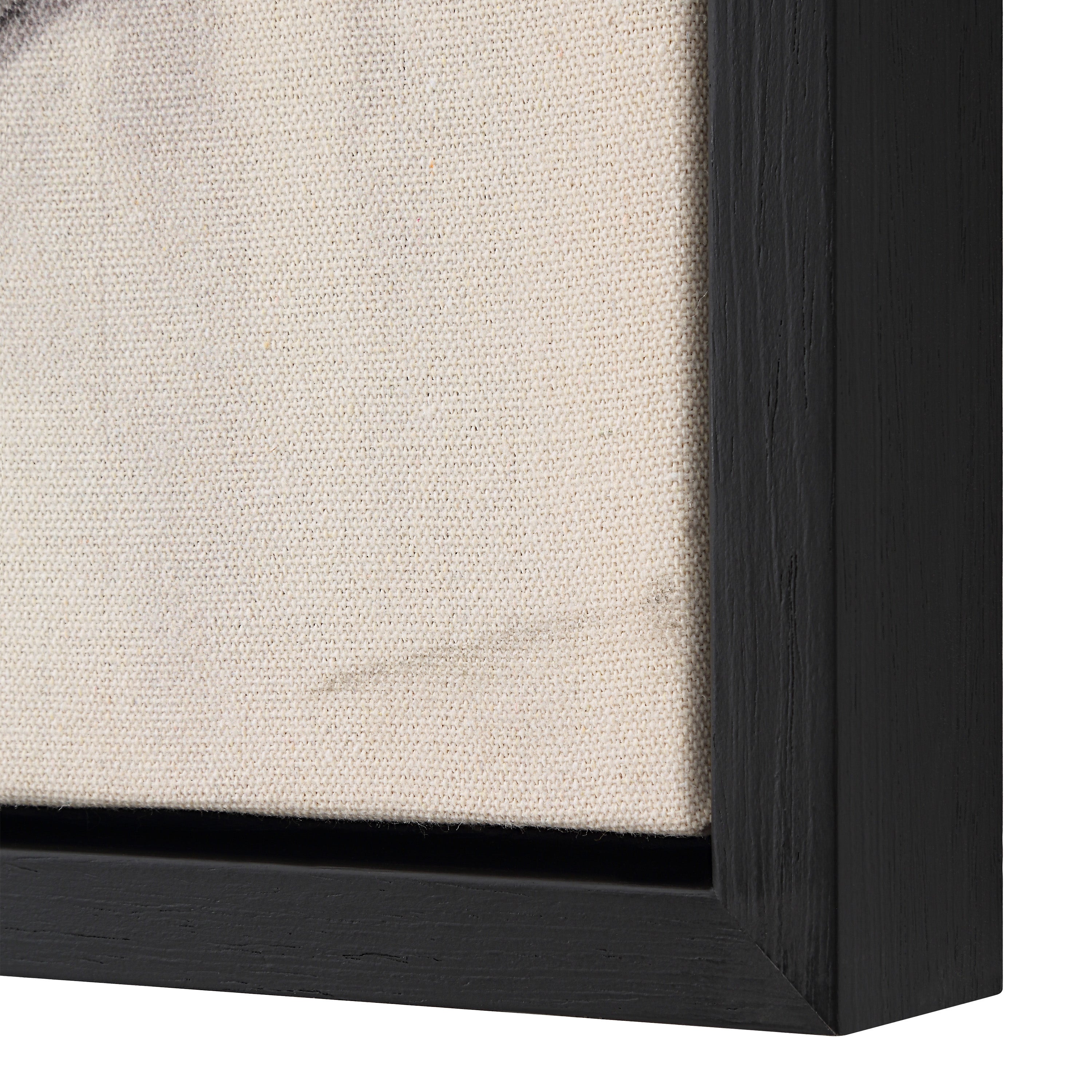 Asia 24" Wide Canvas Art with Wood Frame, Painted Black - Additional Image 5 - OL2146